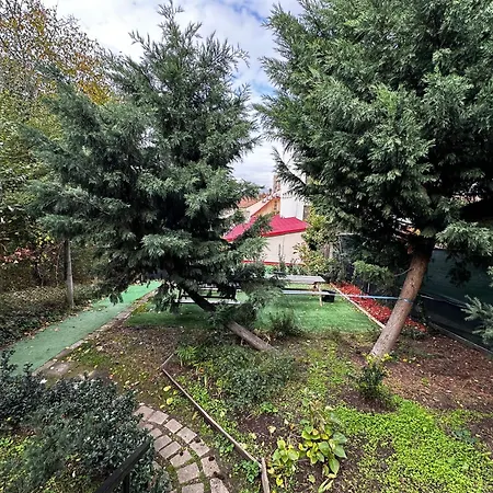 Ana House Of Rest Kluż-Napoka